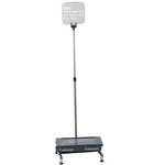 Autoscript Manual Conference Stand with LED Monitor (15")
