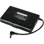 Delvcam CTX-12VPR Battery Pack