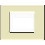 FSR FL-500P-2.25-DECORA 2 Receptacle Plate