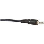 FSR Stereo Mini to Stereo Mini Audio Cable - 10' (3m)