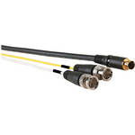 FSR CS-SV2BMM-6 S-Video Male Gold 4 pin Plug to 2 Nickel Male BNC Connectors (6')
