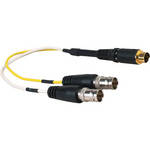 FSR CS-SV2BMF-1 Male Gold 4 pin Plug to 2 Nickel Female BNC Connector (1.5')