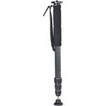 Vanguard Elite CP-324  Monopod