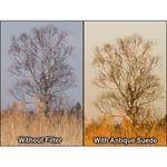 Formatt 77mm Blender Antique Suede 2 Filter
