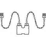 Delta 1 Eco Pressure Regulator with Hoses and Adapter