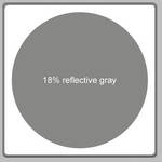 Cameron 20" Reference 18% Gray Disc