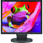 NEC MultiSync EA191M 19" LCD Monitor