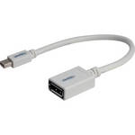Gefen Mini DisplayPort to DisplayPort Adapter