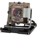 Plus LPH001 Replacement Lamp for PH1001X