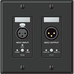 Rane RAD5 2-Gang AES/EBU XLR Line Wall Plate (Black)
