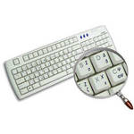Royal Galaxy Greek Transparent Keyboard Sticker Set (Transparent/Black)