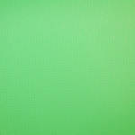 Savage 5 x 7' Infinity Vinyl Background--Chroma Green