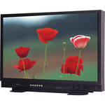Astro Design Inc 3D Engineering Monitor (24")
