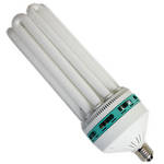 Interfit Replacement Lamp for Monstar Light (150W)