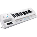 Roland Lucina AX-09 Synthesizer Keyboard (Pearl White)