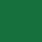 LEE Filters Primary Green Color Effect Filter - 48" x 25' (1.21 x 7.62 m) Roll