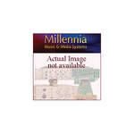 Millennia TRK-2 Rack Mount Kit for Pair of TD-1