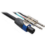 Hosa Technology SKO-275Q Neutrik Speakon to 2 1/4" TS Phone Audio Cable (75')
