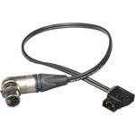 Anton Bauer PowerTap-20 20" PowerTap to 4-pin XLR