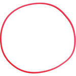 Olympus POL-EP01 O-Ring for PT-EP01 Housing