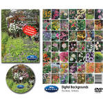 Savage DVD-ROM: Digital Backgrounds (Floral)