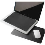Moshi Microfiber Screen Shield and Mouse Pad