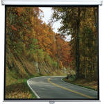 Viewsonic PSC-002 Projection Screen (60 x 60")