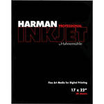 Harman By Hahnemuhle Gloss Art Fiber Warmtone Inkjet Paper (300 gsm, 17 x 22", A2, 420 x 594mm, 30 Sheets