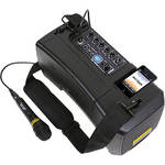 DJ-Tech iVisa 50 Light Portable PA System