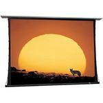 Draper 100725 Signature/V Motorized Projection Screen (54 x 96")