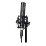 Royer Labs R-101 Ribbon Microphone