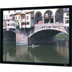 Da-Lite 38175 Imager Fixed Frame Projection Screen (58 x 136.5")