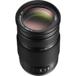 Panasonic Lumix G Vario 100-300mm F/4.0-5.6 OIS Lens