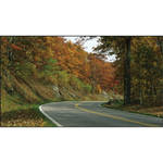 NEC 46" MultiSync X462UN Large-Screen LCD Display