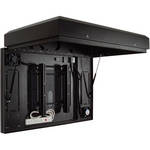 Premier Mounts Indoor/Outdoor Enclosure for Flat-Panels up to 40" (Black)