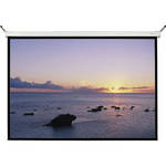 Bretford 50V10169M Series 500 Wall Projection Screen (65 x 116")