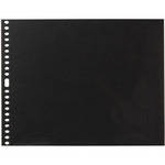 Pina Zangaro Polyester Sheet Protectors (3-Hole, 13 x 19", 10 Sheets)
