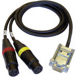 Cable Techniques CT-DE15/2 Dual 3-Pin XLR-F to DE-15 Digital Mic Cable for 788T (30")
