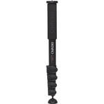 Benro C49F Classic Carbon Fiber Monopod