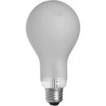 Eiko EBV Lamp (500W/120V)