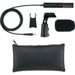 Roland CS-15S Compact Stereo Microphone