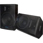 Nady J-12M 12" Passive Full Range 2-Way Loudspeaker/Monitor