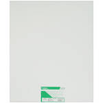 Fujifilm Crystal Archive Type II Paper (20 x 24", Luster, 50 Sheets)