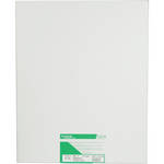 Fujifilm Crystal Archive Type II Paper (16 x 20", Matte, 50 Sheets)