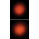 American DJ LSF10-24 Light Shaping Filter