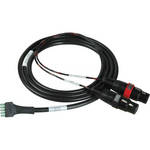 Sescom SES-SBA-XLRTB6F XLR-F to Terminal Block Adapter Cable for 150 (6')