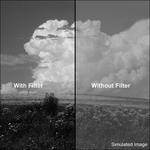 B+W 55mm #22 Red-Orange (041) MRC Filter