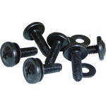 Video Mount Products ER-RS1032-100 Rack Screws (Set of 100)