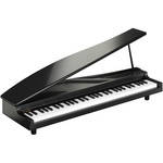 Korg microPIANO Digital Piano (Black)
