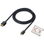 Sony Accessory Kit for Cyber-shot Camera with NP-BN1 Battery and HDMI Cable